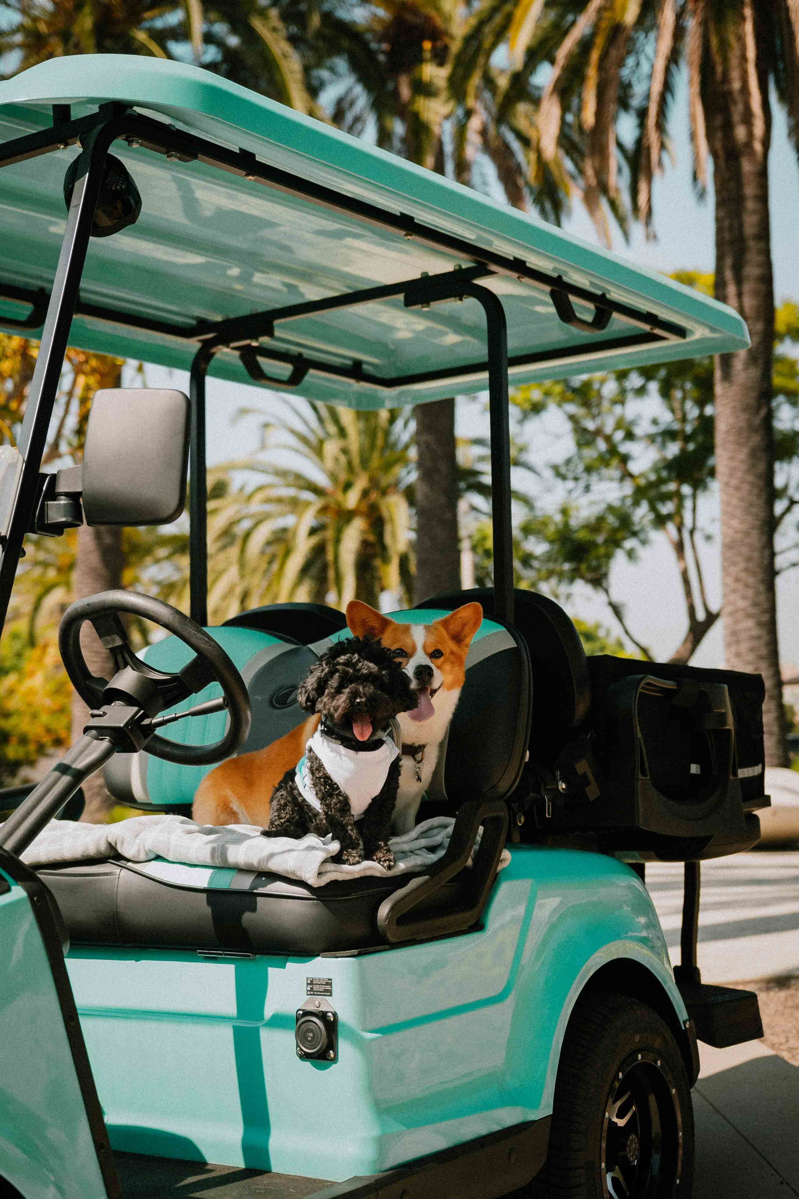 Neighborhood EV
