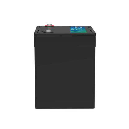 GPT High-Capacity LiFePO4 Battery | 12V 100Ah 229
