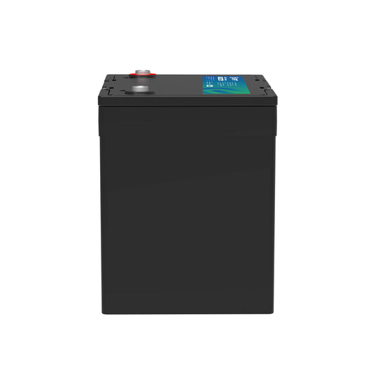 GPT High-Capacity LiFePO4 Battery | 12V 100Ah 229